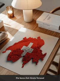Schweiz Landkarte Relief Rot