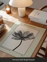 Blume Schwarz Weiß Transparent