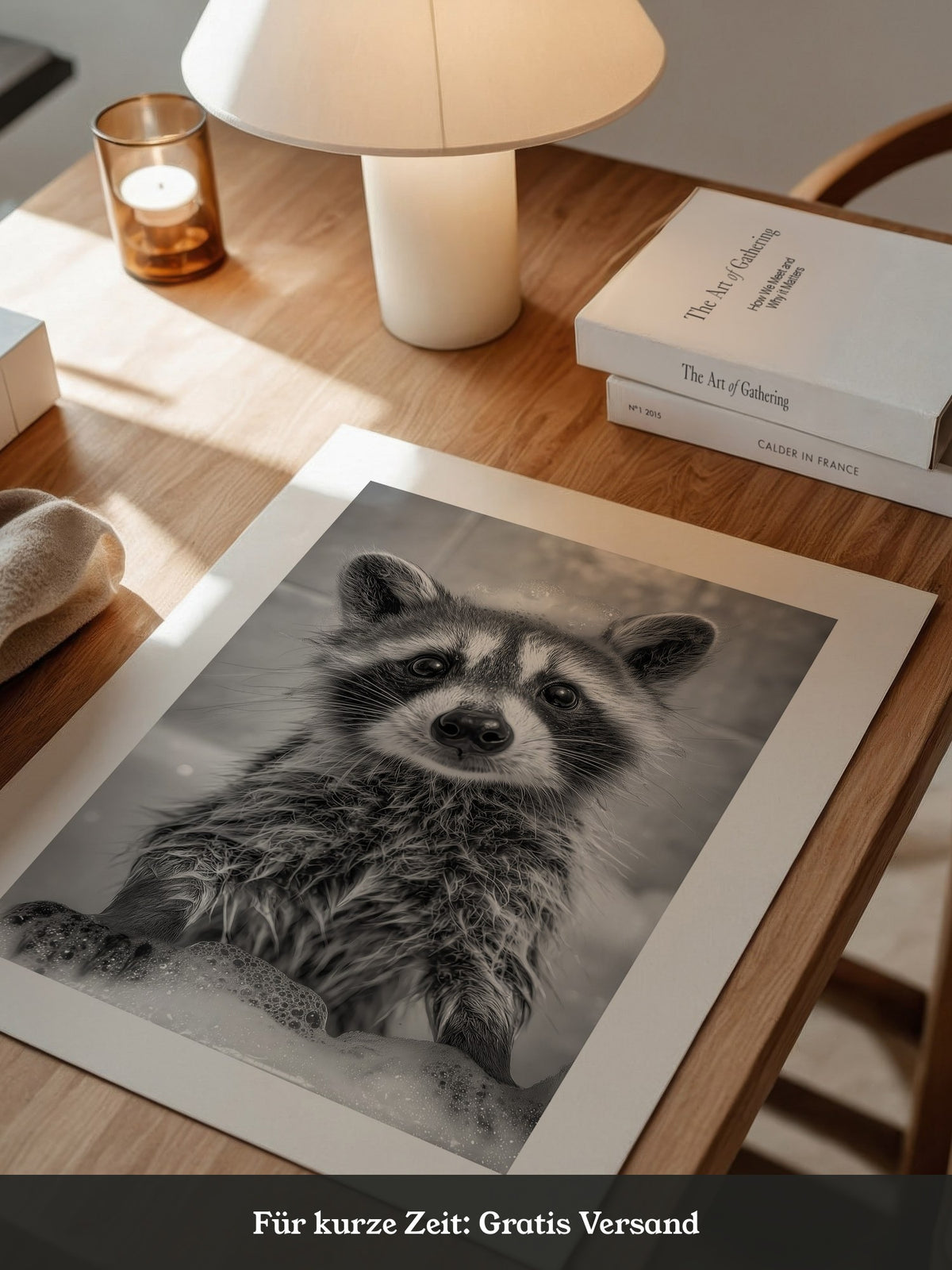 Waschbär Schaum Schwarzweiß