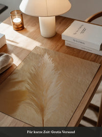 Pampasgras Beige Schatten