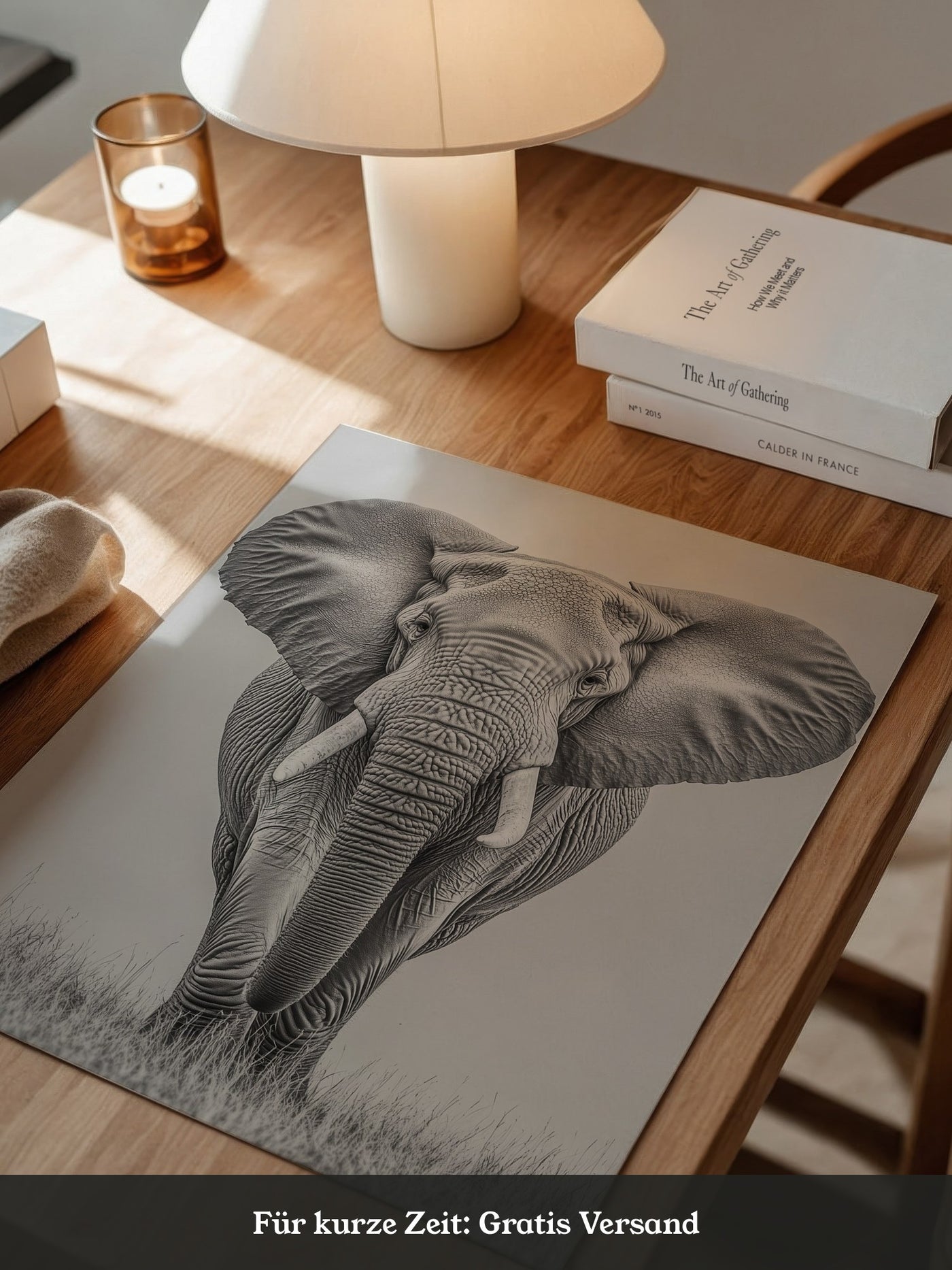 Elefant Frontalansicht schwarz-weiß