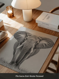 Elefant Frontalansicht schwarz-weiß