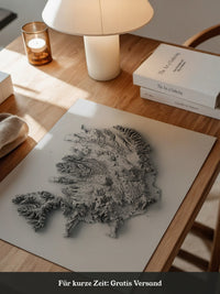 Island 3D-Relief Grau