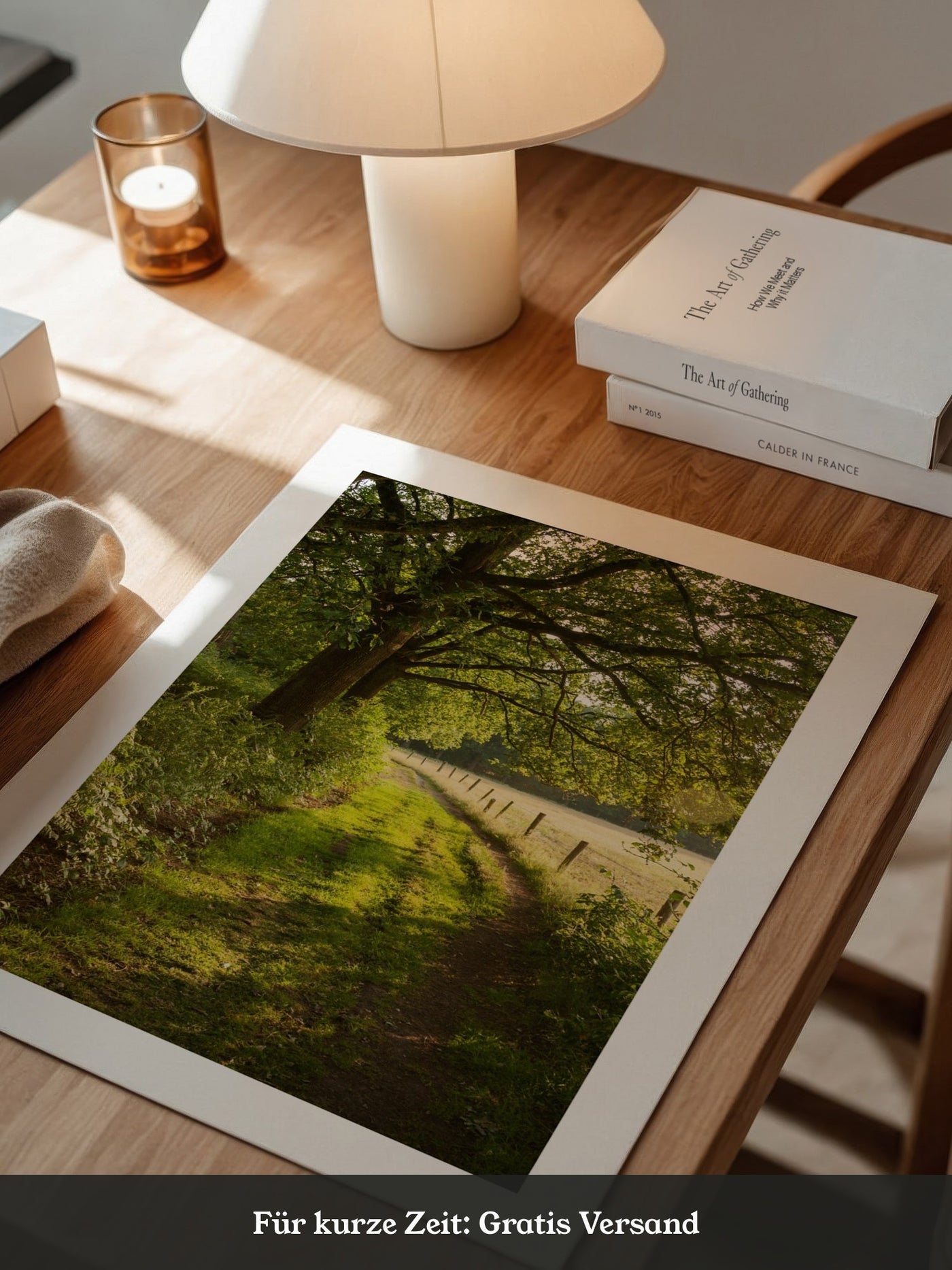 Waldweg im Sonnenlicht