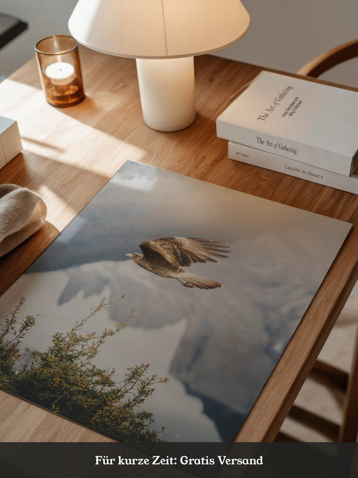 Greifvogel Flug Berge Nebel