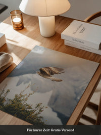 Greifvogel Flug Berge Nebel