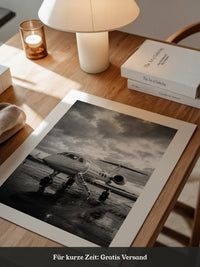 Privatjet Abendstimmung S/W