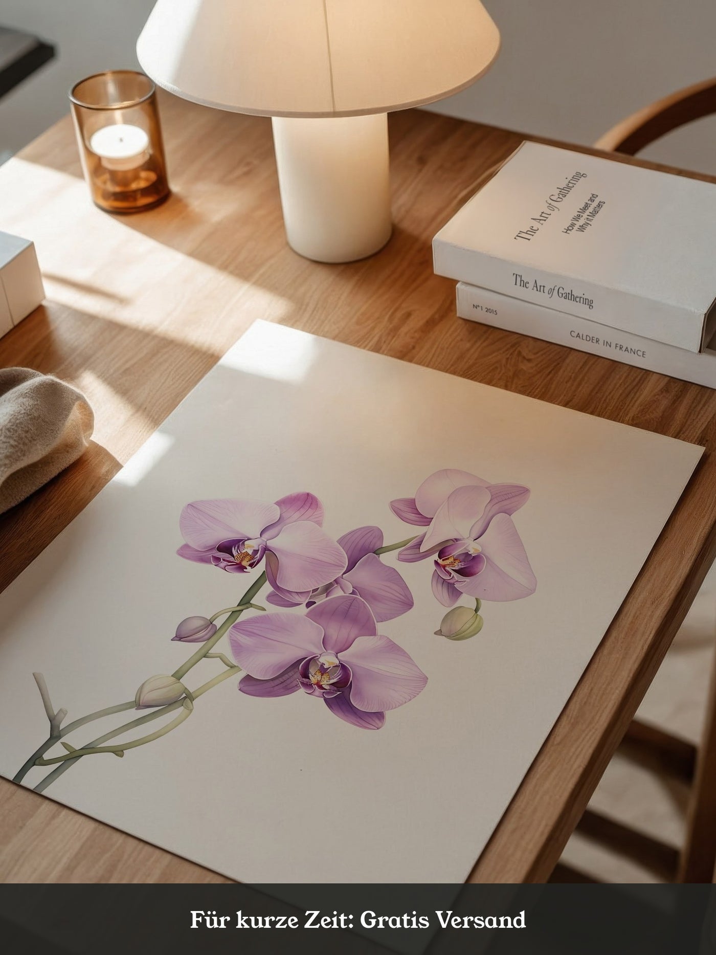 Orchideen Pastell Eleganz