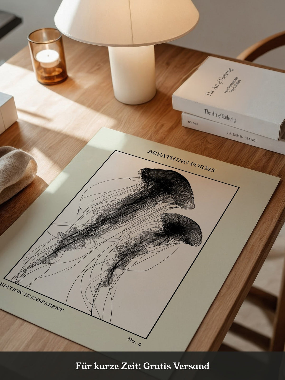Quallen Transparentlinie Kunstwerk