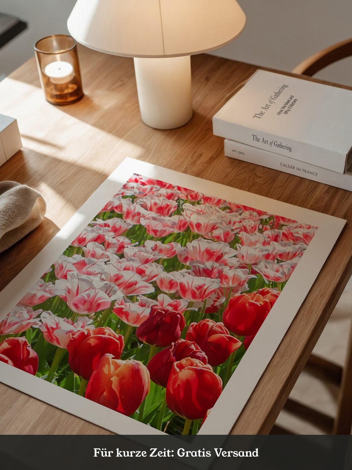 Tulpenmeer Rot Weiß