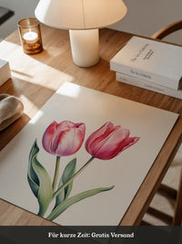 Tulpen Zartrosa Realismus