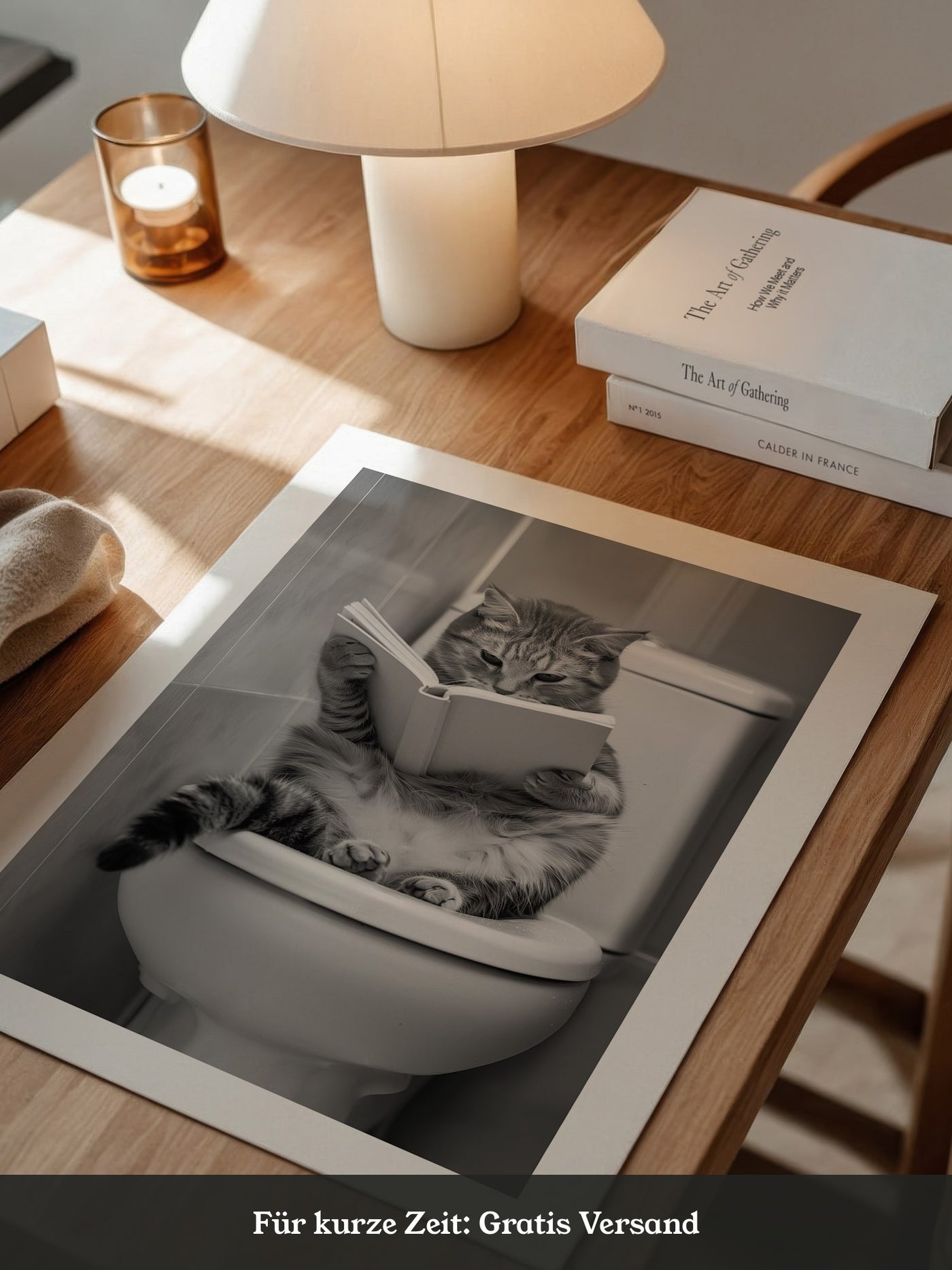 Katze Toilette Buch Lesevergnügen