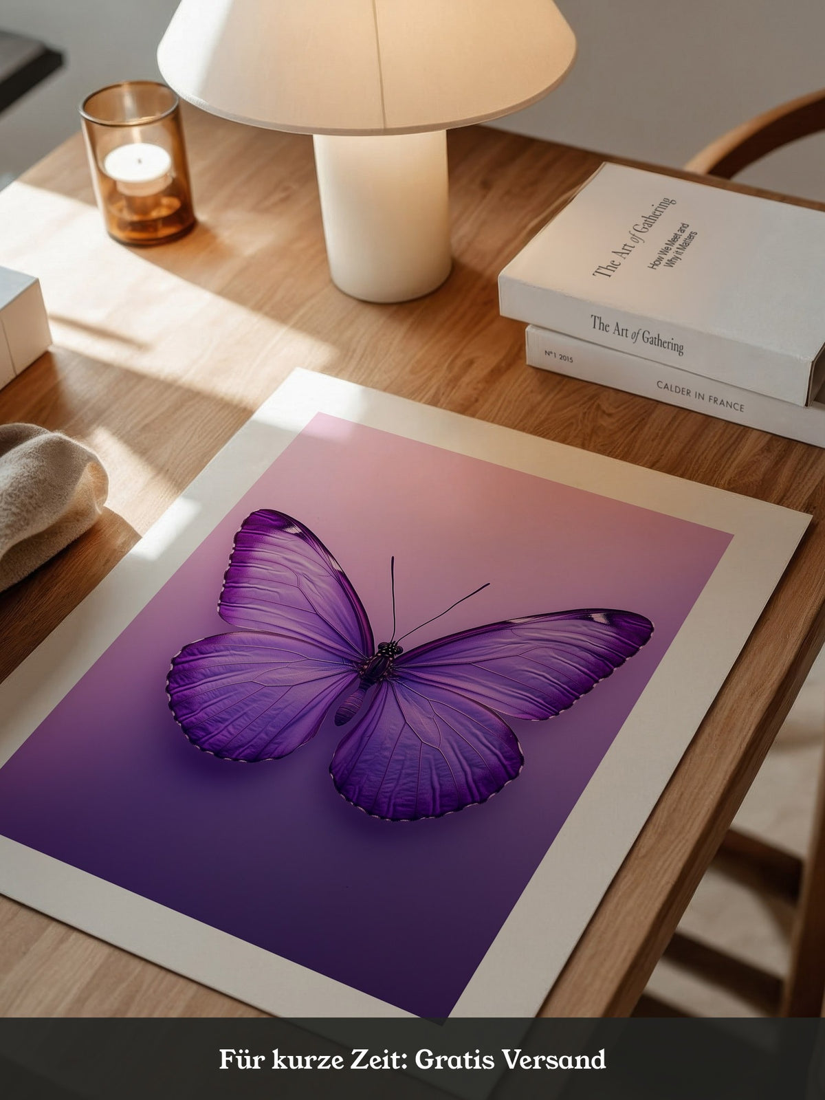 Schmetterling Lila Symmetrie