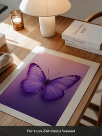 Schmetterling Lila Symmetrie