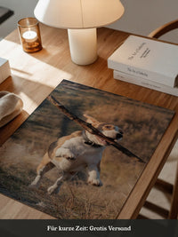 Hund mit Stock lebendig