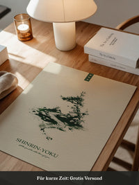 Bonsai Pfad minimalistisch
