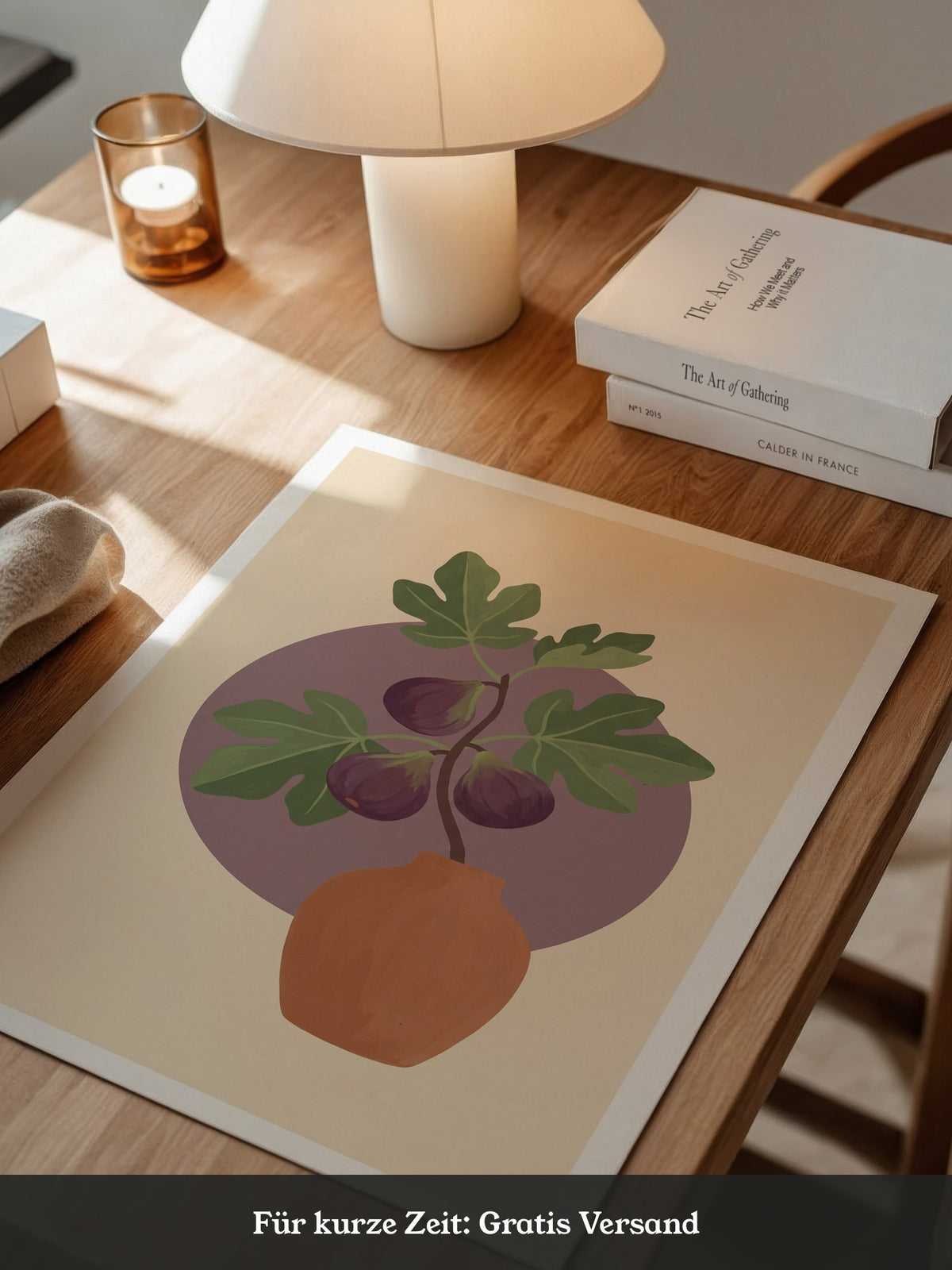 Feigenblatt Leuchtendes Violett