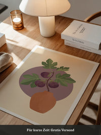 Feigenblatt Leuchtendes Violett