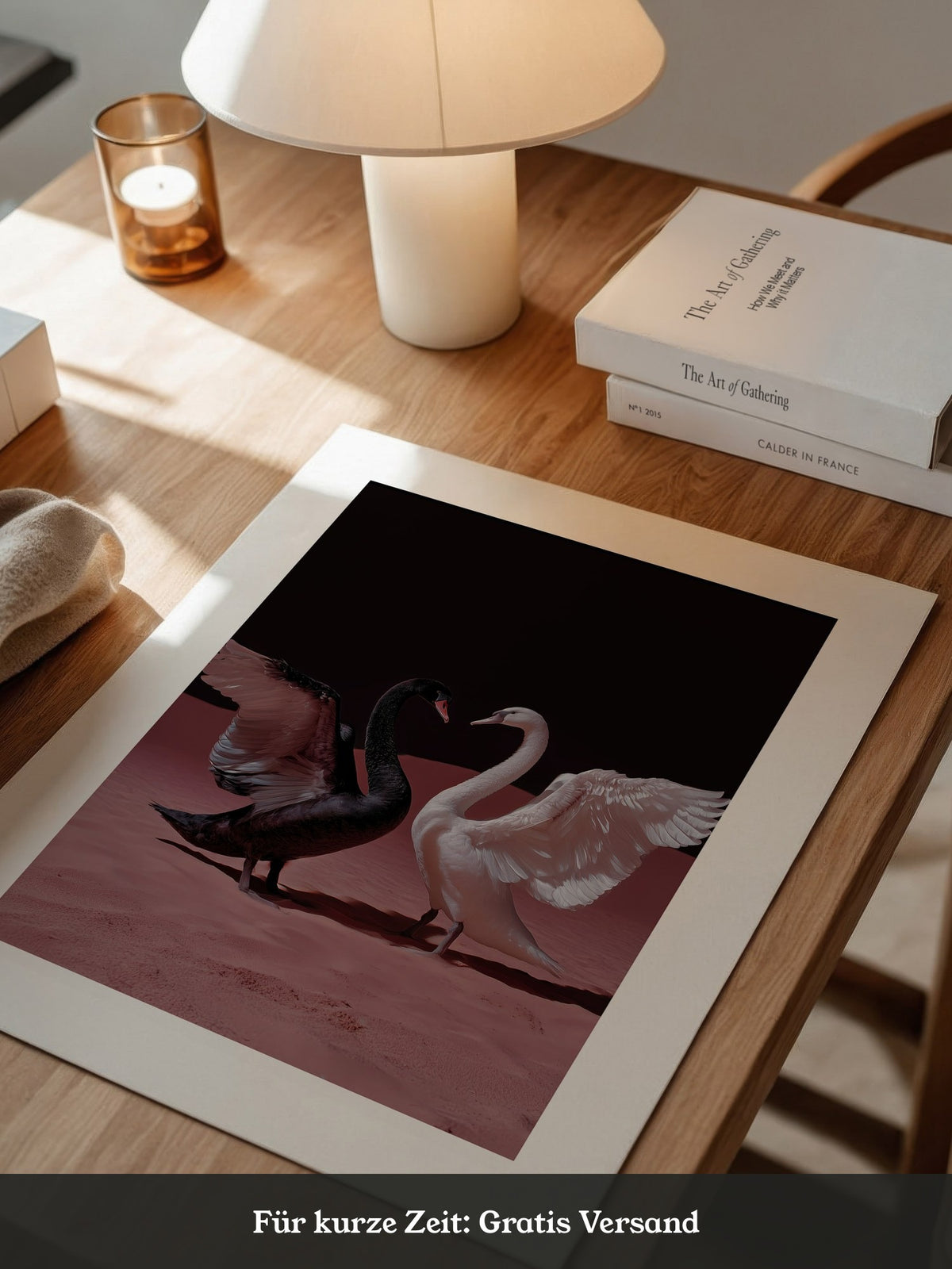 Schwäne Kontrast Rosa Sand
