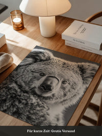 Koala Porträt Schwarzweiß