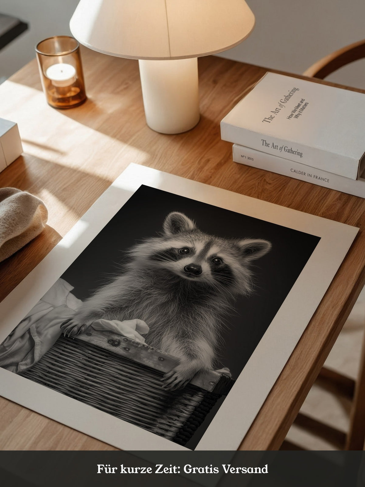 Waschbär Korbschwarzweiß