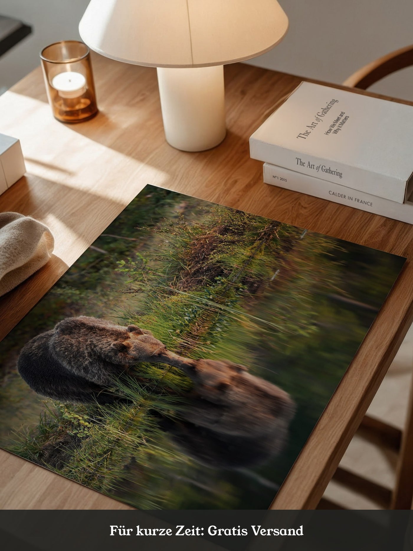Bären Spiegelung Naturkunst
