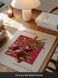 Granatapfel Zweig Rot Hintergrund