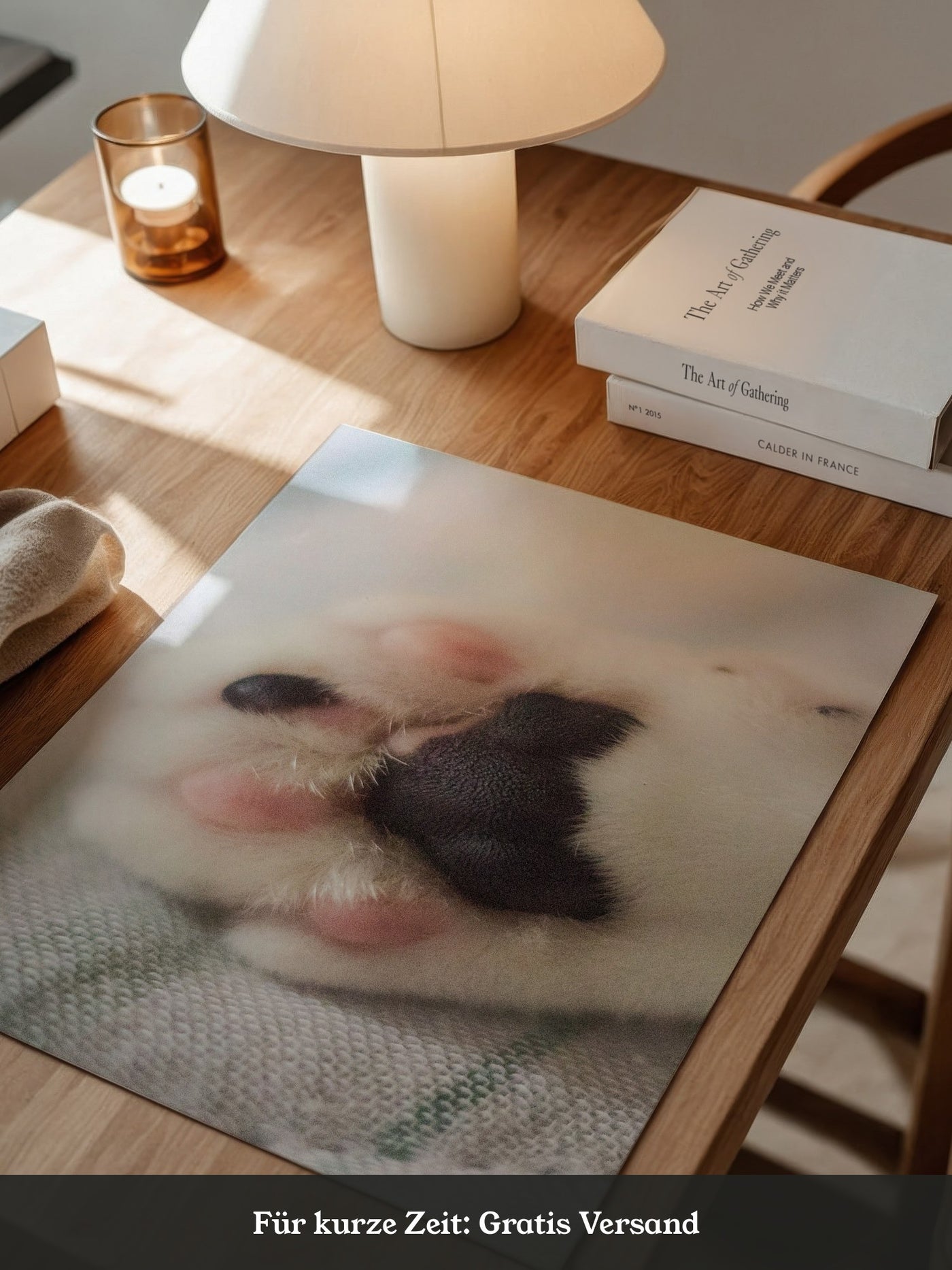 Hunde Pfote Nahaufnahme Pastell