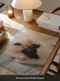 Hunde Pfote Nahaufnahme Pastell