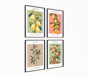 Poster-Set '10' Mediterrane Früchte - 3 Kunstdrucke Zitrone, Olive, Orange