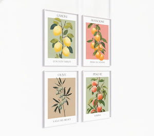Poster-Set '10' Mediterrane Früchte - 3 Kunstdrucke Zitrone, Olive, Orange - Bild 2